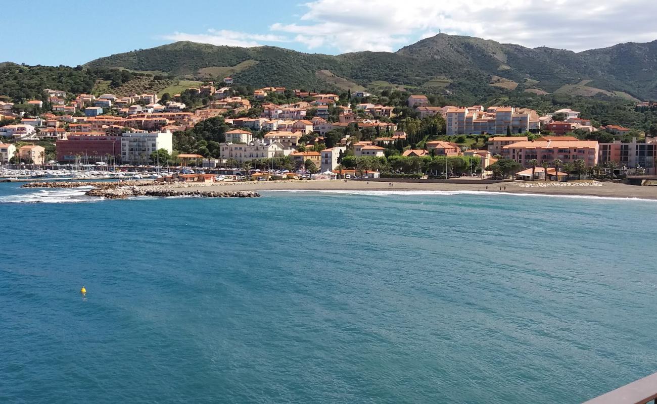 Banyuls sur Mer beach'in fotoğrafı gri çakıl taşı yüzey ile