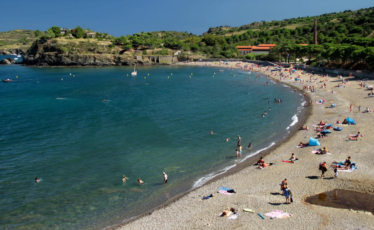 Paulilles beach'in fotoğrafı hafif ince çakıl taş yüzey ile