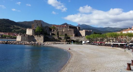 Collioure Plajı