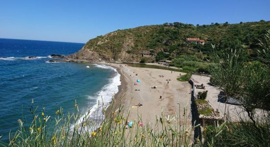 Plage de l'Ouille