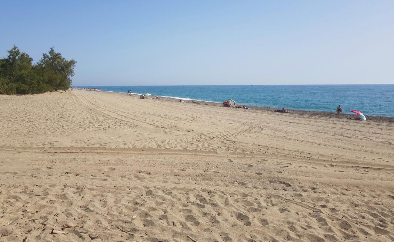 Saint Cyprien Plajı'in fotoğrafı parlak ince kum yüzey ile