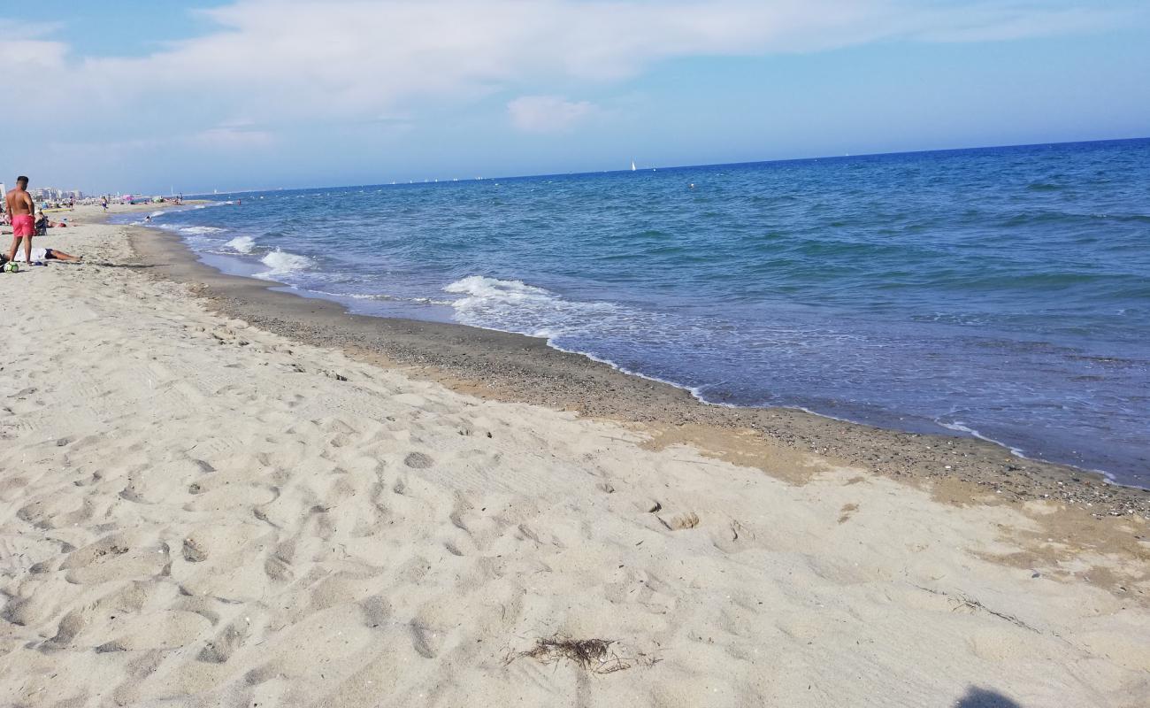Canet in Roussillon'in fotoğrafı i̇nce bej kum yüzey ile