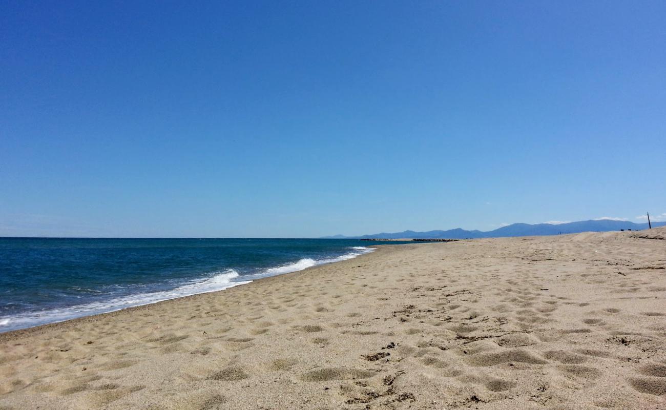 Torreilles beach'in fotoğrafı parlak ince kum yüzey ile