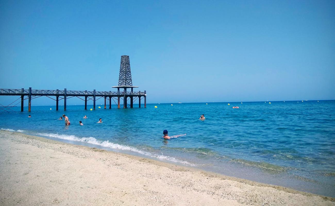Port Leucate beach'in fotoğrafı i̇nce bej kum yüzey ile