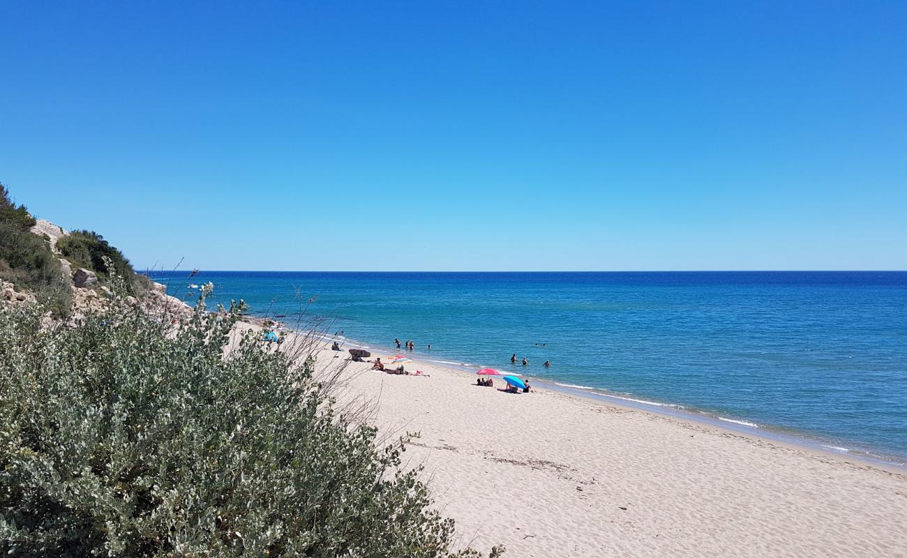 Leucate Plajı'in fotoğrafı parlak ince kum yüzey ile