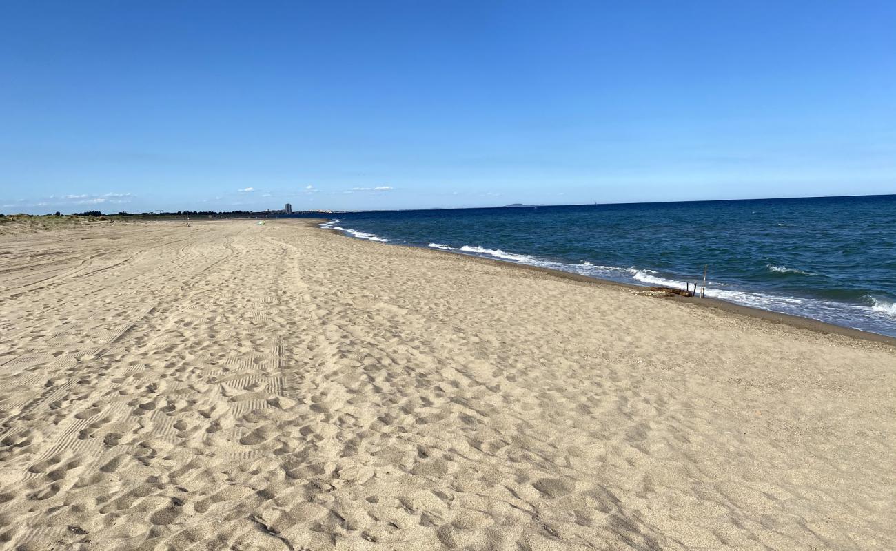 Plage Vendres'in fotoğrafı i̇nce bej kum yüzey ile
