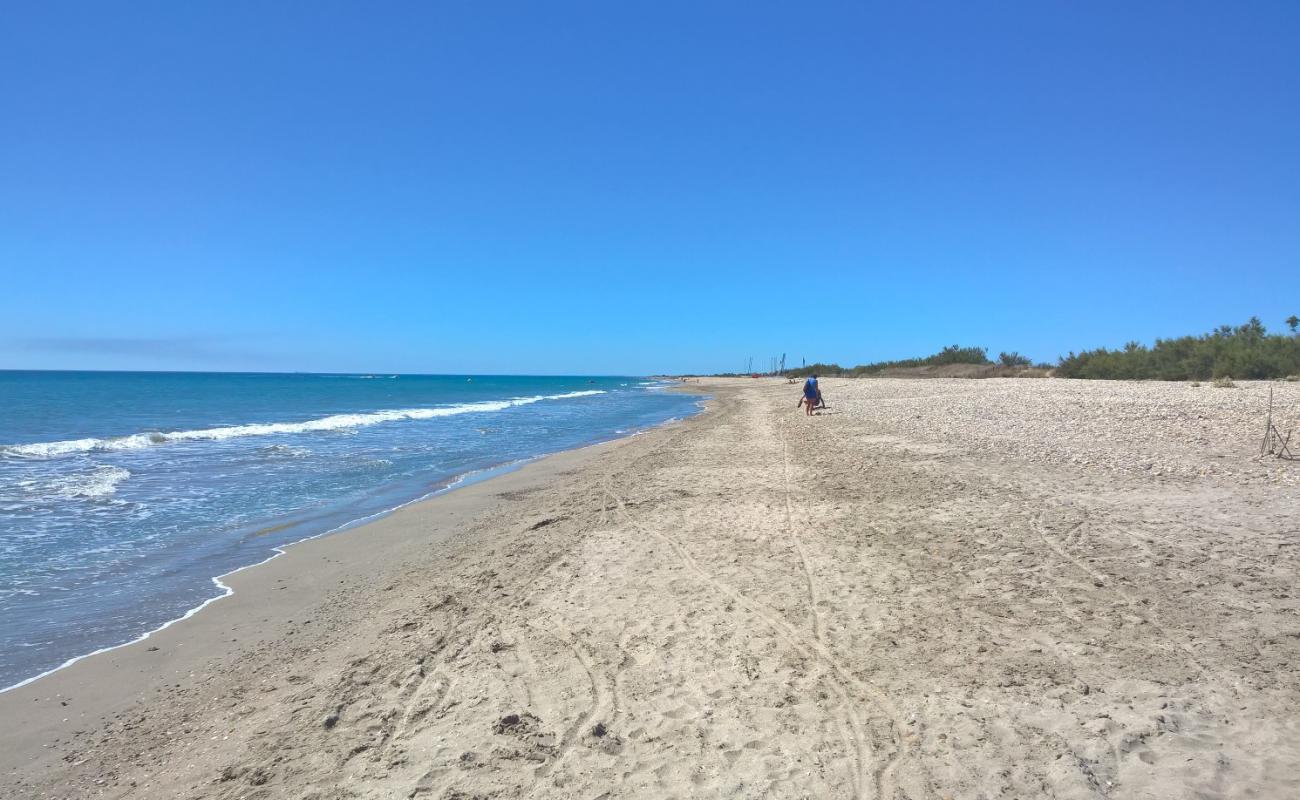 Plage des Aresquiers'in fotoğrafı parlak kum yüzey ile