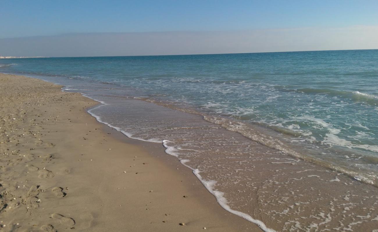 Maguelone beach'in fotoğrafı açık bej kum yüzey ile