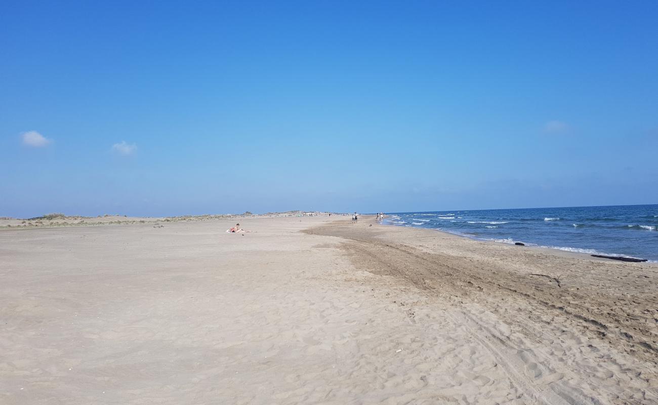 Espiguette Plajı'in fotoğrafı i̇nce bej kum yüzey ile