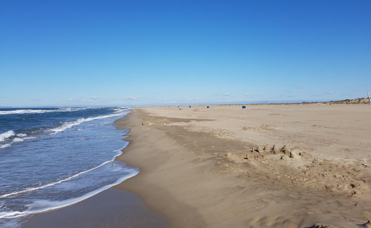 Espiguette wild beach'in fotoğrafı parlak ince kum yüzey ile