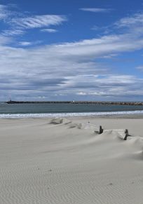 Camargue