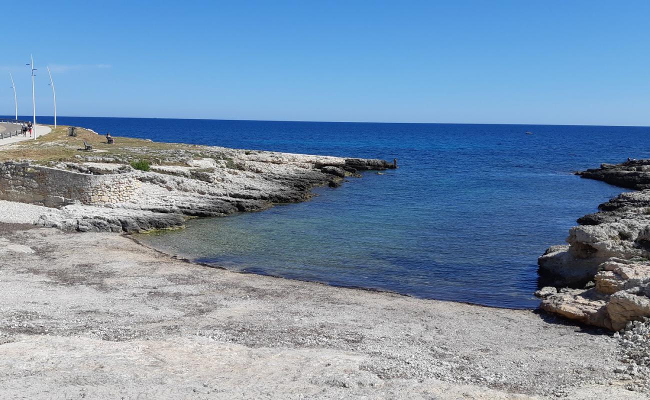 Anse du Petit Nid'in fotoğrafı bej kum ve çakıl yüzey ile
