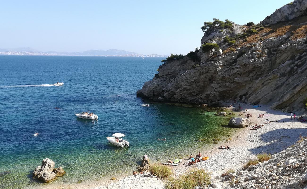 Pointe de Figuerolles'in fotoğrafı bej çakıl yüzey ile