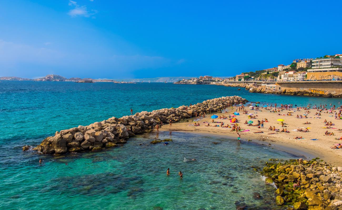 Plage du Prophete'in fotoğrafı parlak kum yüzey ile