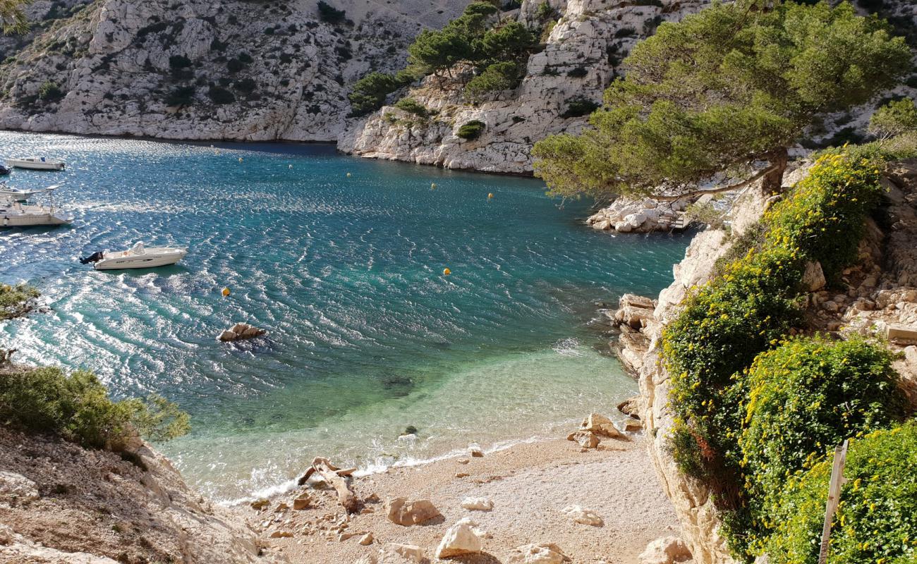 Sauvage de Morgiou'in fotoğrafı hafif çakıl yüzey ile