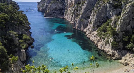 Calanque d'En-Vau Plajı