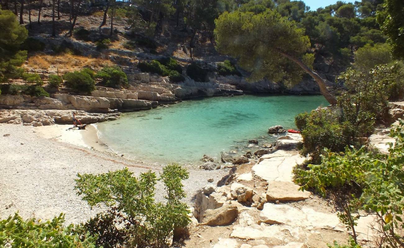 Calanque de Port Pin'in fotoğrafı hafif çakıl yüzey ile