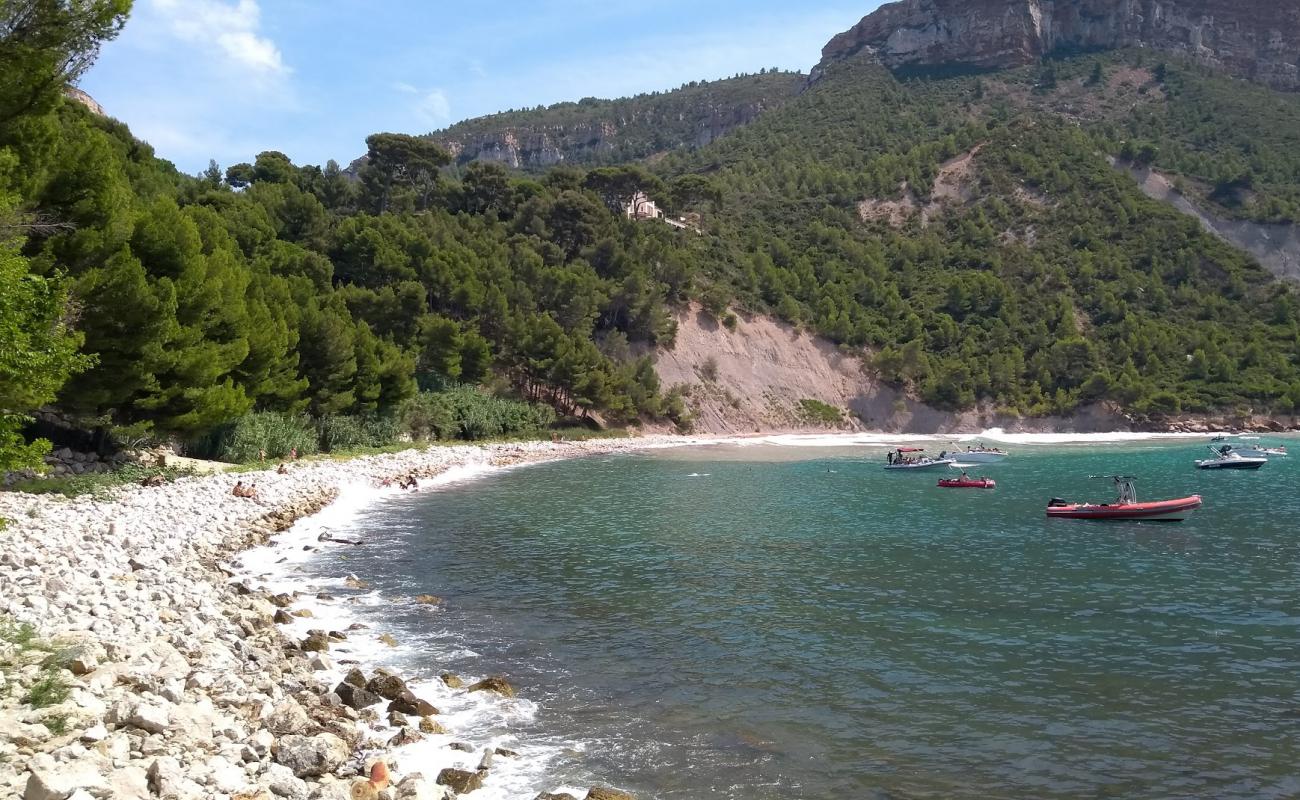 Plage de l'Arene'in fotoğrafı parlak kum ve kayalar yüzey ile