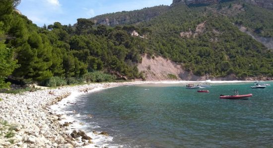 Plage de l'Arene