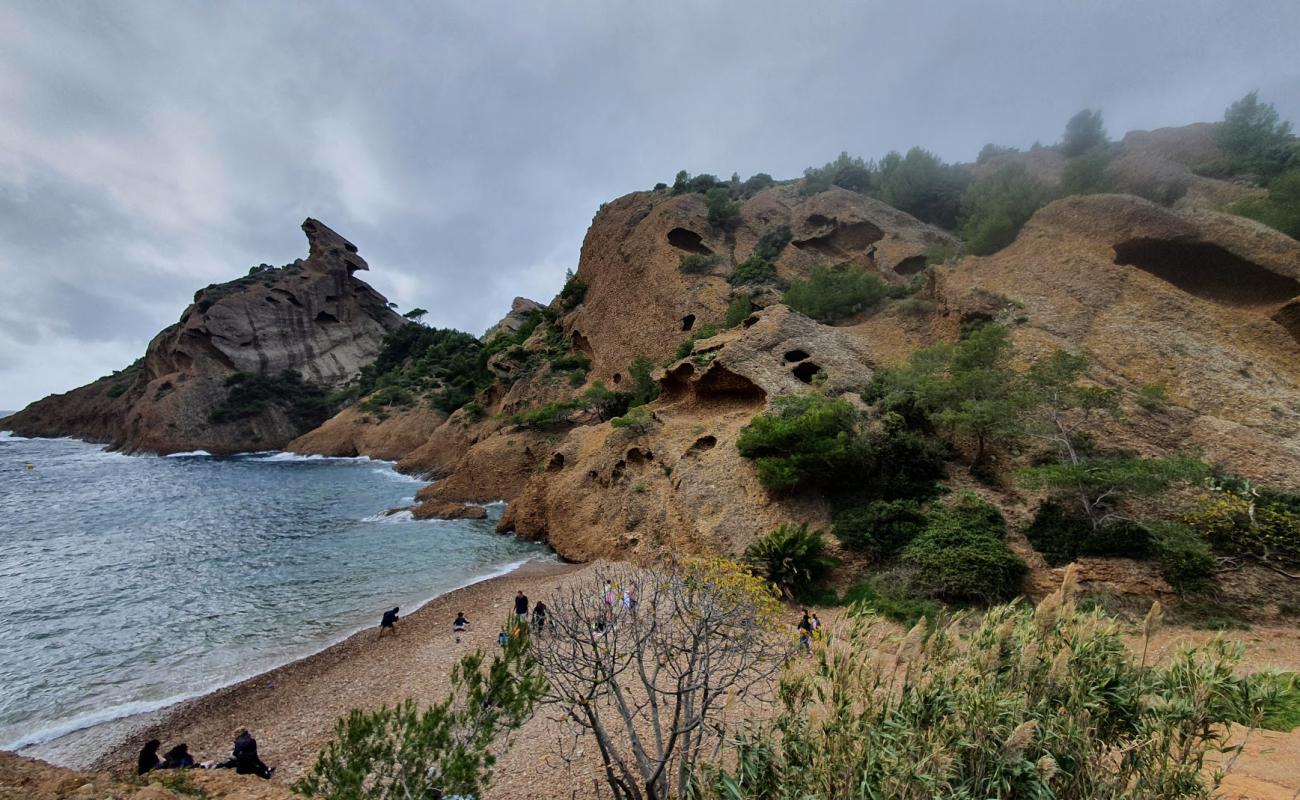 Calanque de Figuerolles'in fotoğrafı taşlı kum yüzey ile