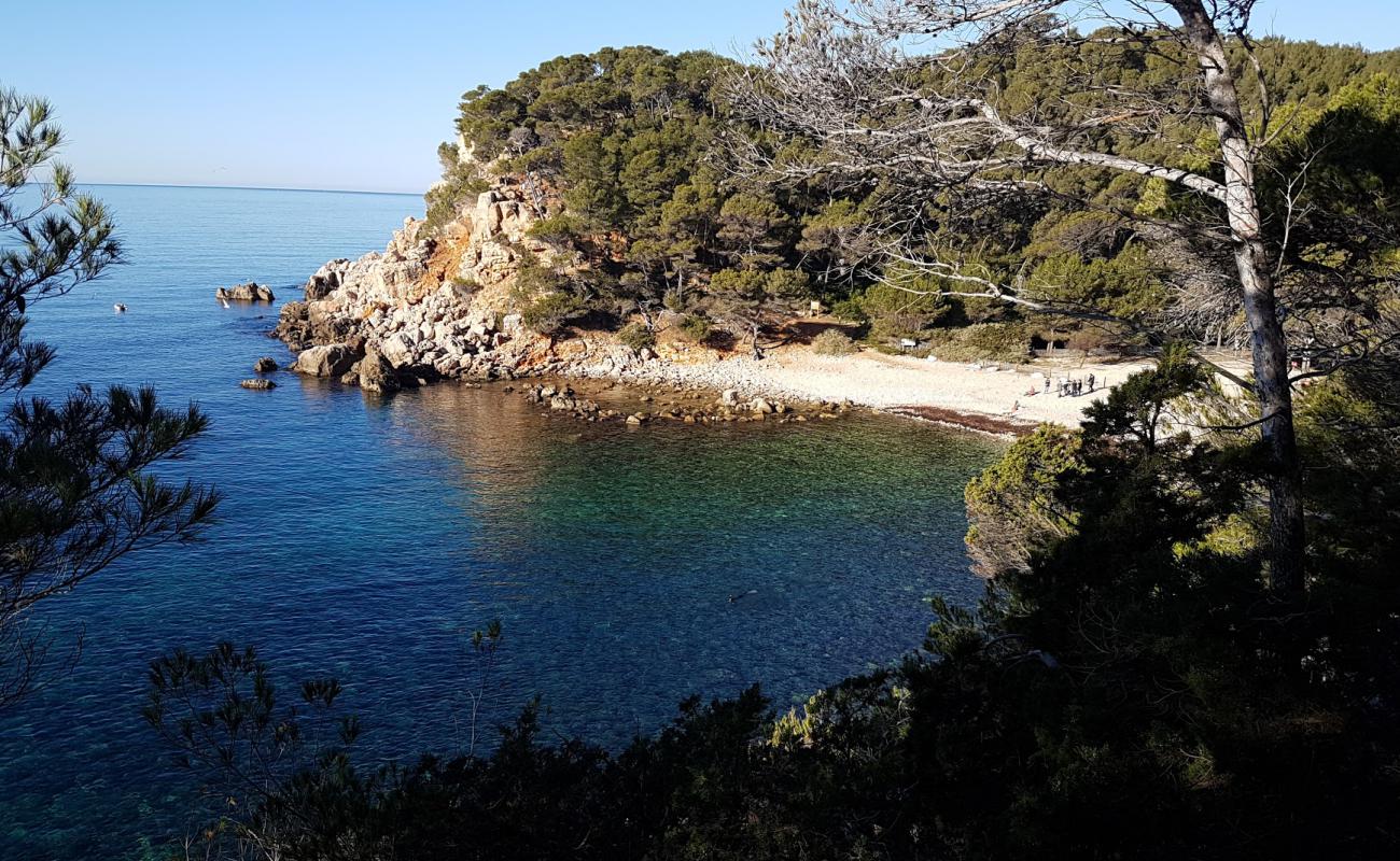 Plage des Engraviers'in fotoğrafı taşlar yüzey ile