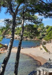 Bandol
