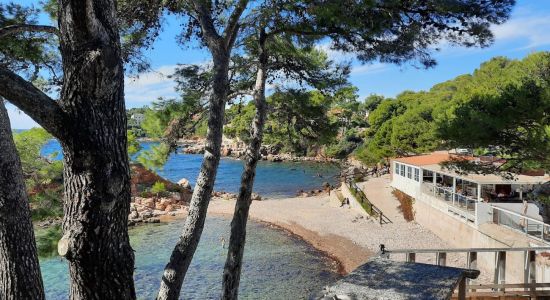 Le Mediterranee