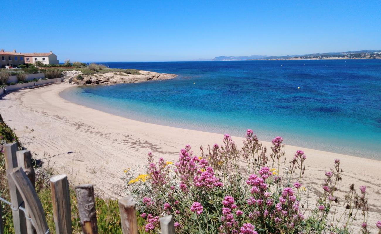 Plage de la Coudouliere'in fotoğrafı kahverengi kum yüzey ile
