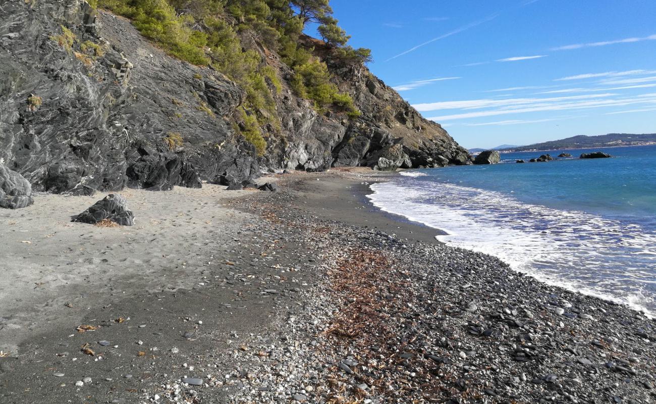 Plage de Malpasset'in fotoğrafı gri kum ve çakıl yüzey ile