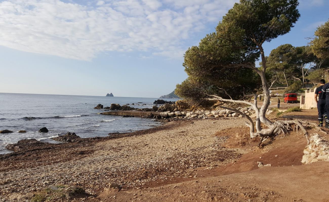 Plage de la Verne'in fotoğrafı kahverengi çakıl yüzey ile