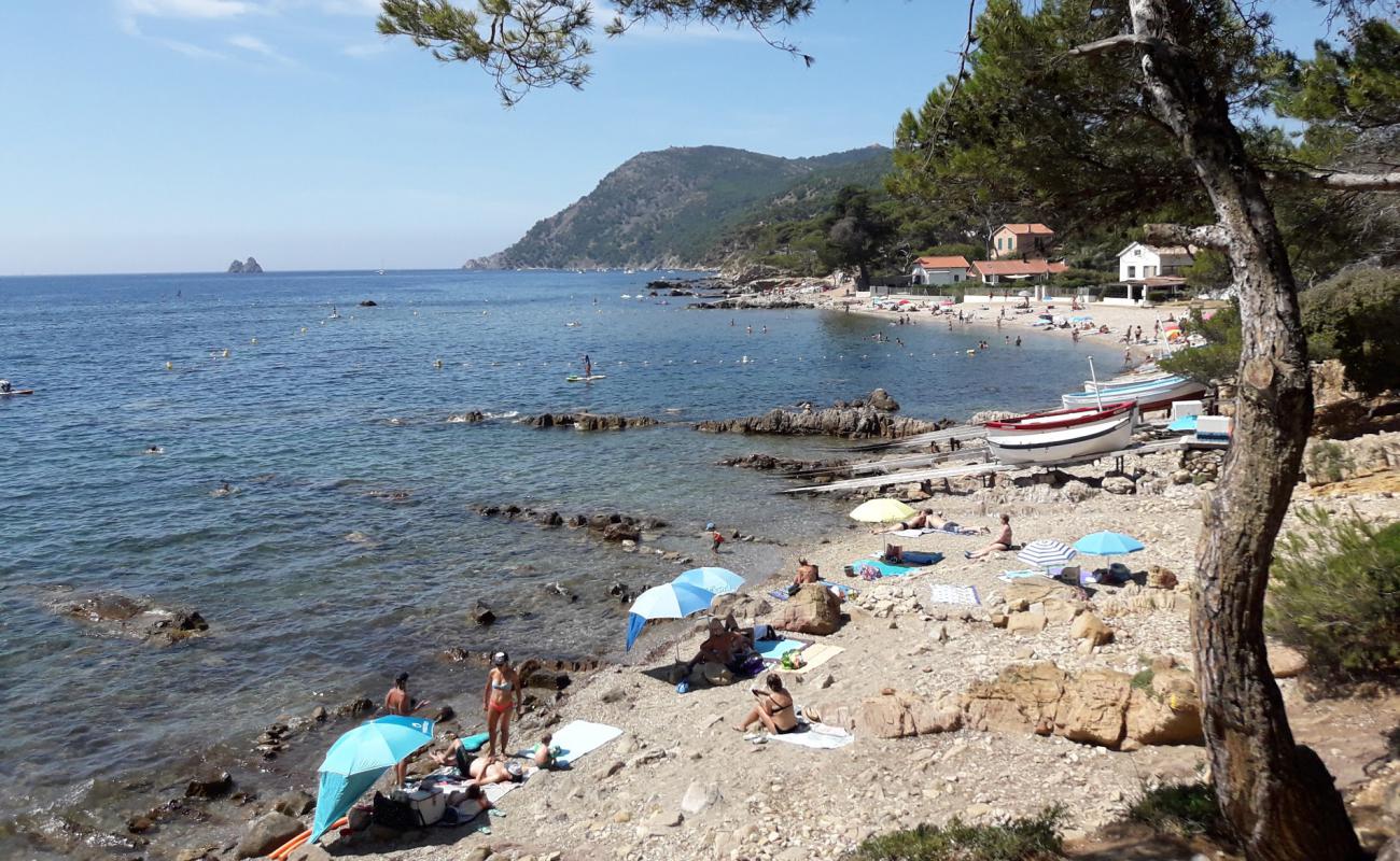 Plage de la Vernette'in fotoğrafı taşlı kum yüzey ile