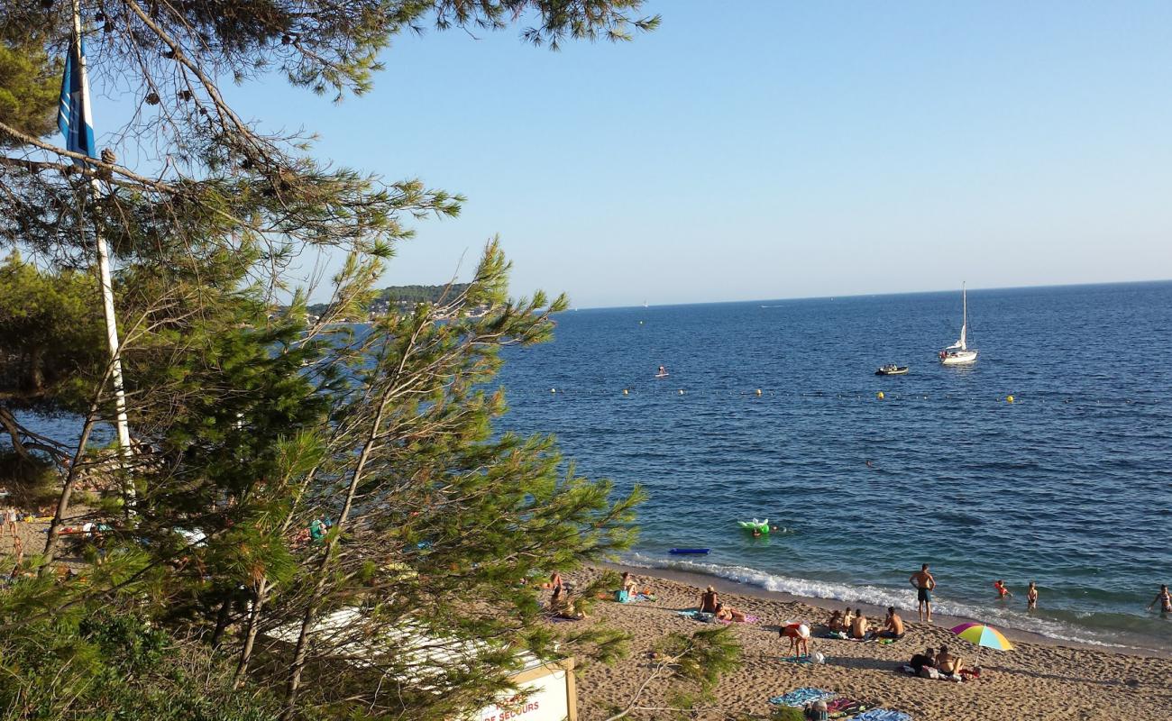 Plage du Monaco'in fotoğrafı kahverengi kum yüzey ile