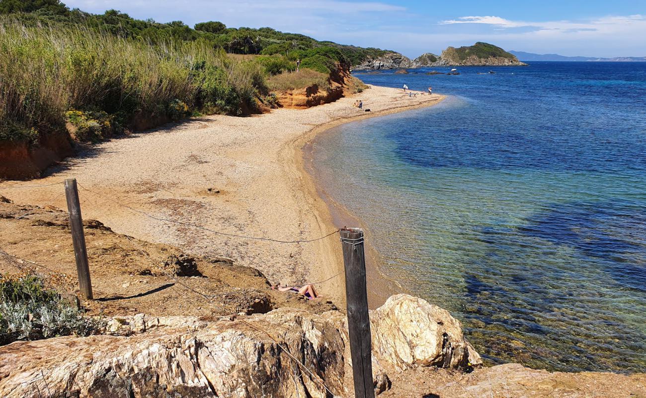Plage de la Madrague'in fotoğrafı bej kum ve çakıl yüzey ile