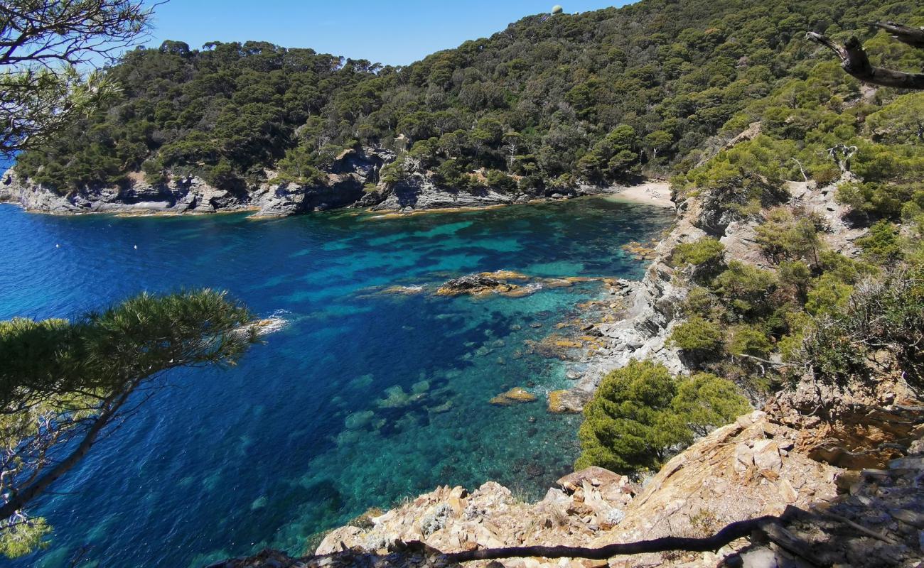 Plage d'Escampo-Barriou'in fotoğrafı kahverengi çakıl yüzey ile