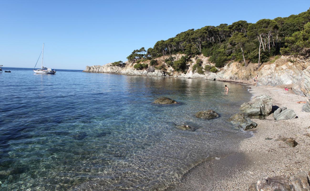 Plage des Darboussieres'in fotoğrafı küçük gri çakıllar yüzey ile