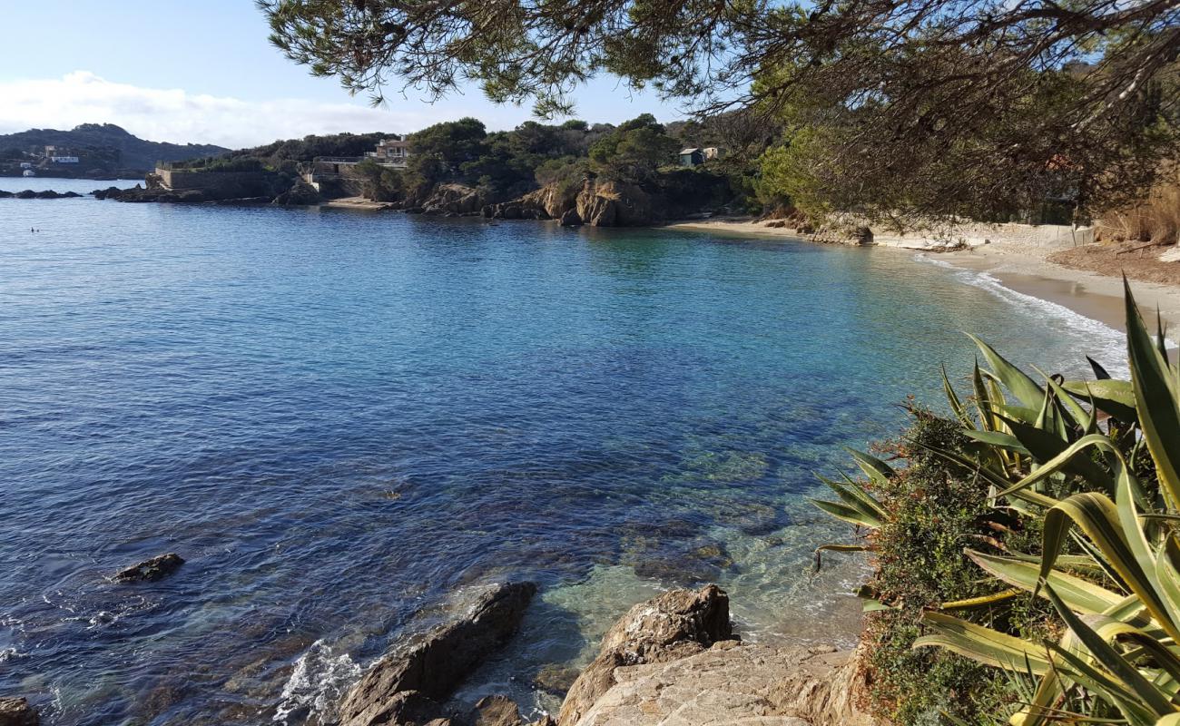 Plage du Pradeau'in fotoğrafı açık bej kum yüzey ile