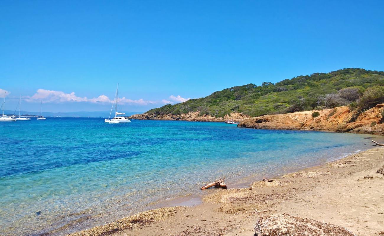 Blanche du Langoustier'in fotoğrafı bej kum ve çakıl yüzey ile