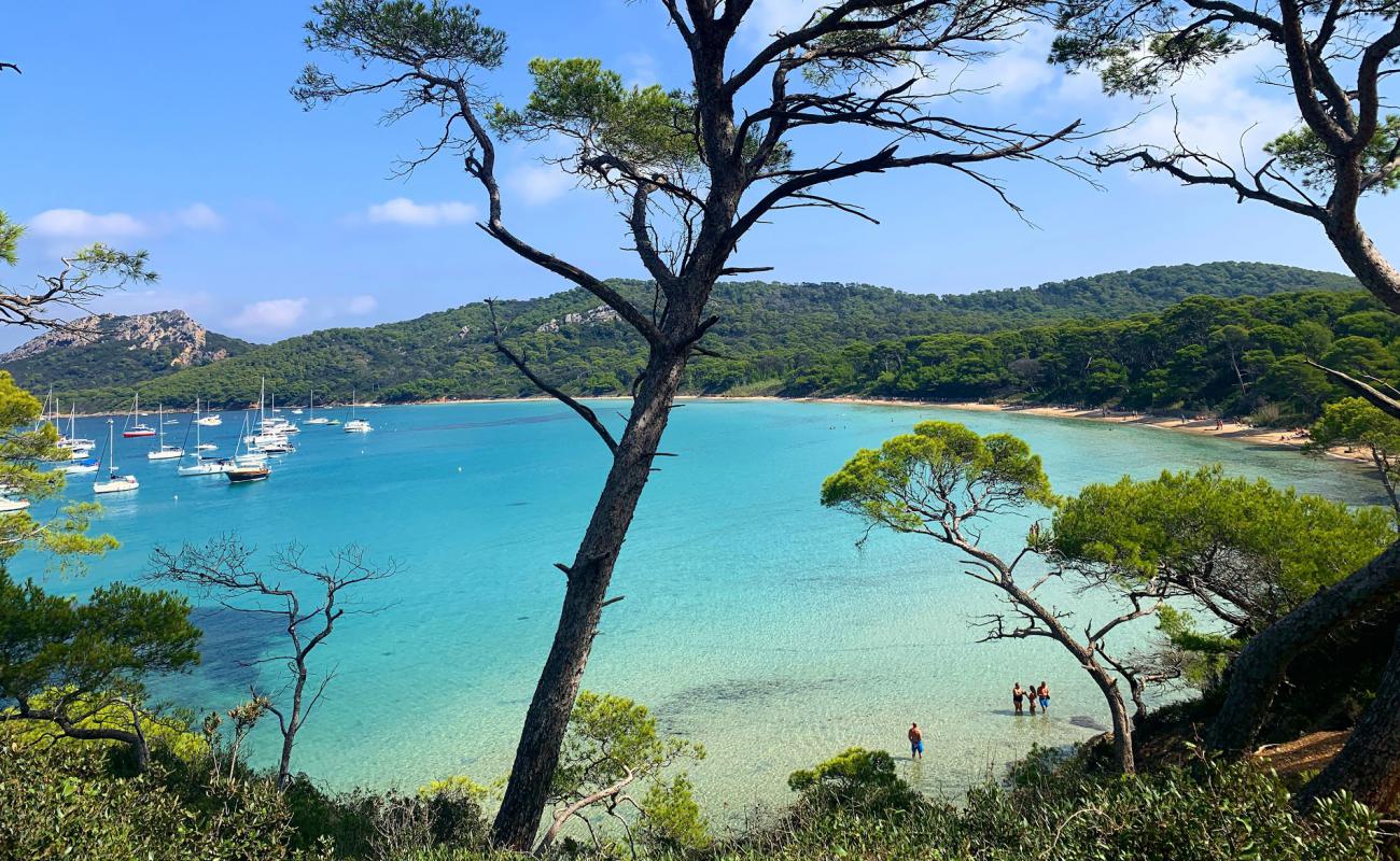 Plage Notre Dame'in fotoğrafı açık bej kum yüzey ile