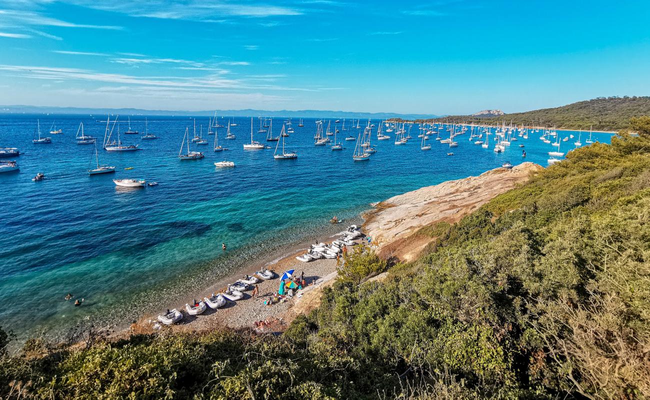 Plage de la Courtade'in fotoğrafı açık bej kum yüzey ile