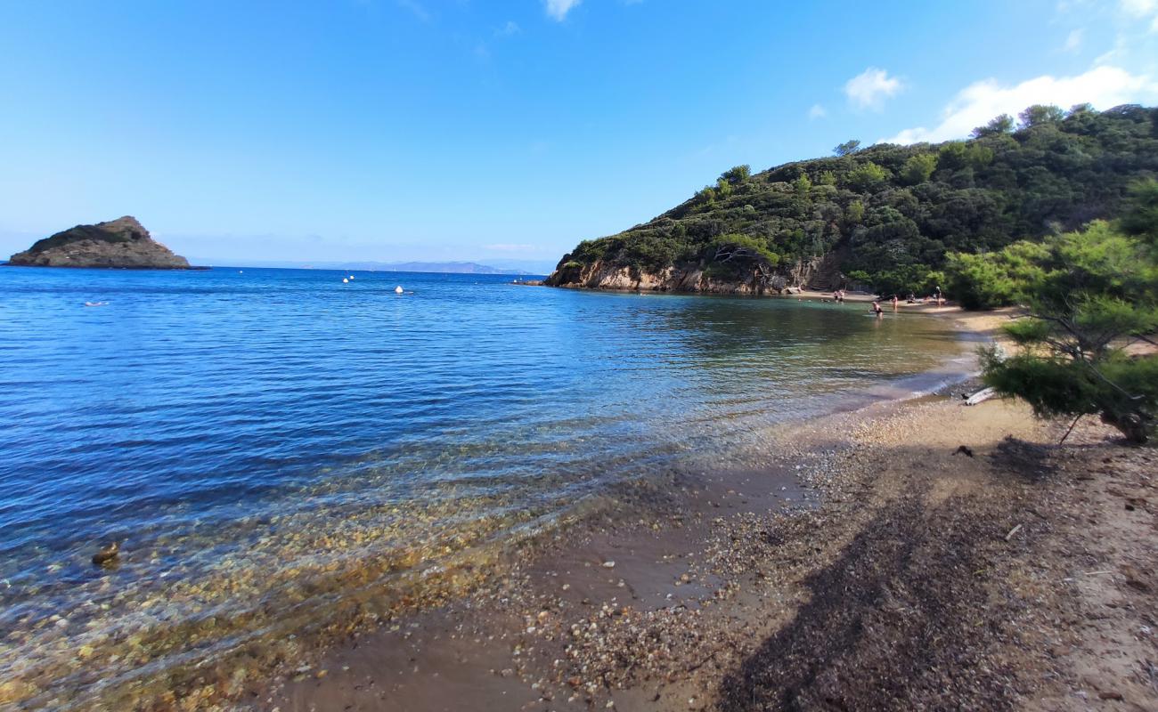 Palud beach'in fotoğrafı bej kum ve çakıl yüzey ile