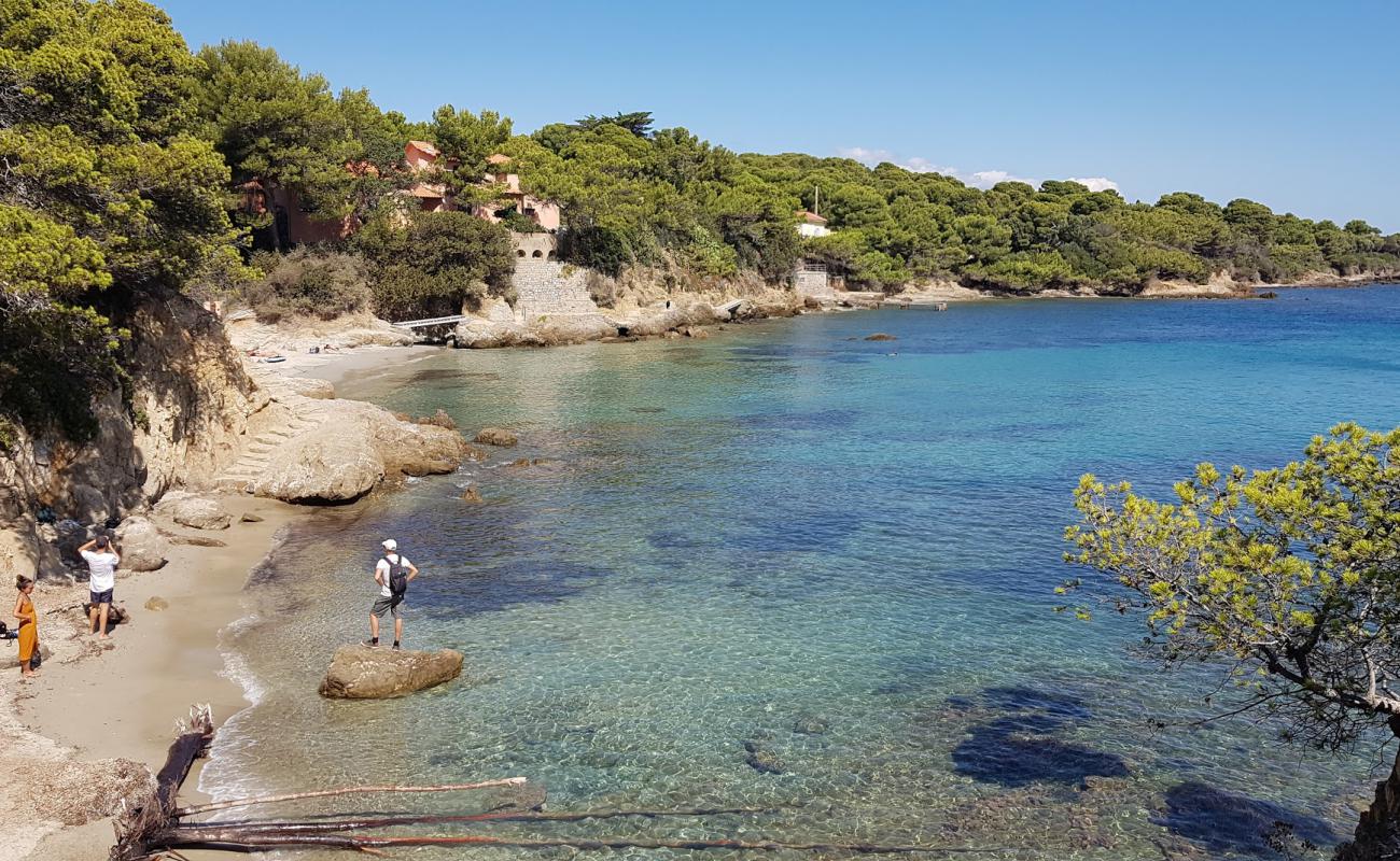 Cypress beach'in fotoğrafı açık bej kum yüzey ile