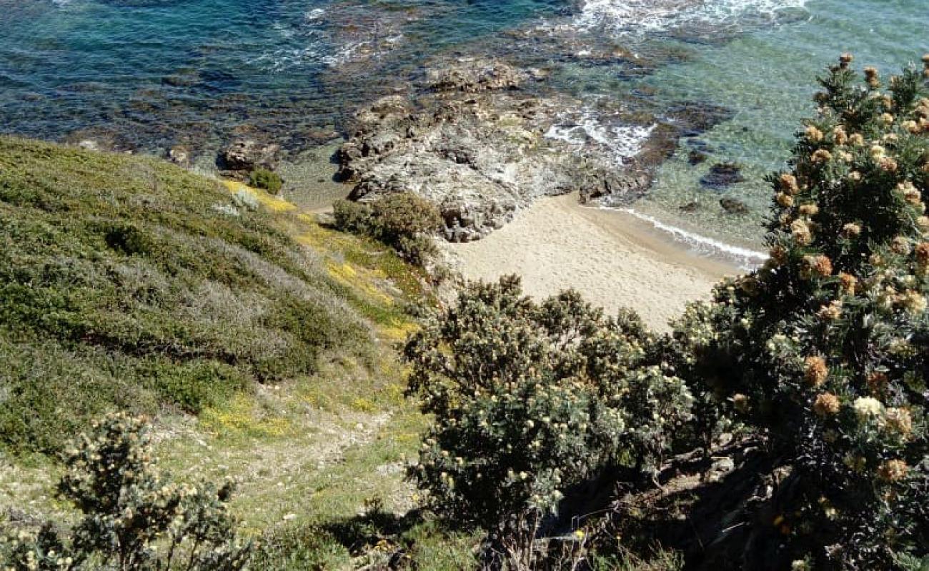 Pointe de la Badine'in fotoğrafı bej çakıl yüzey ile