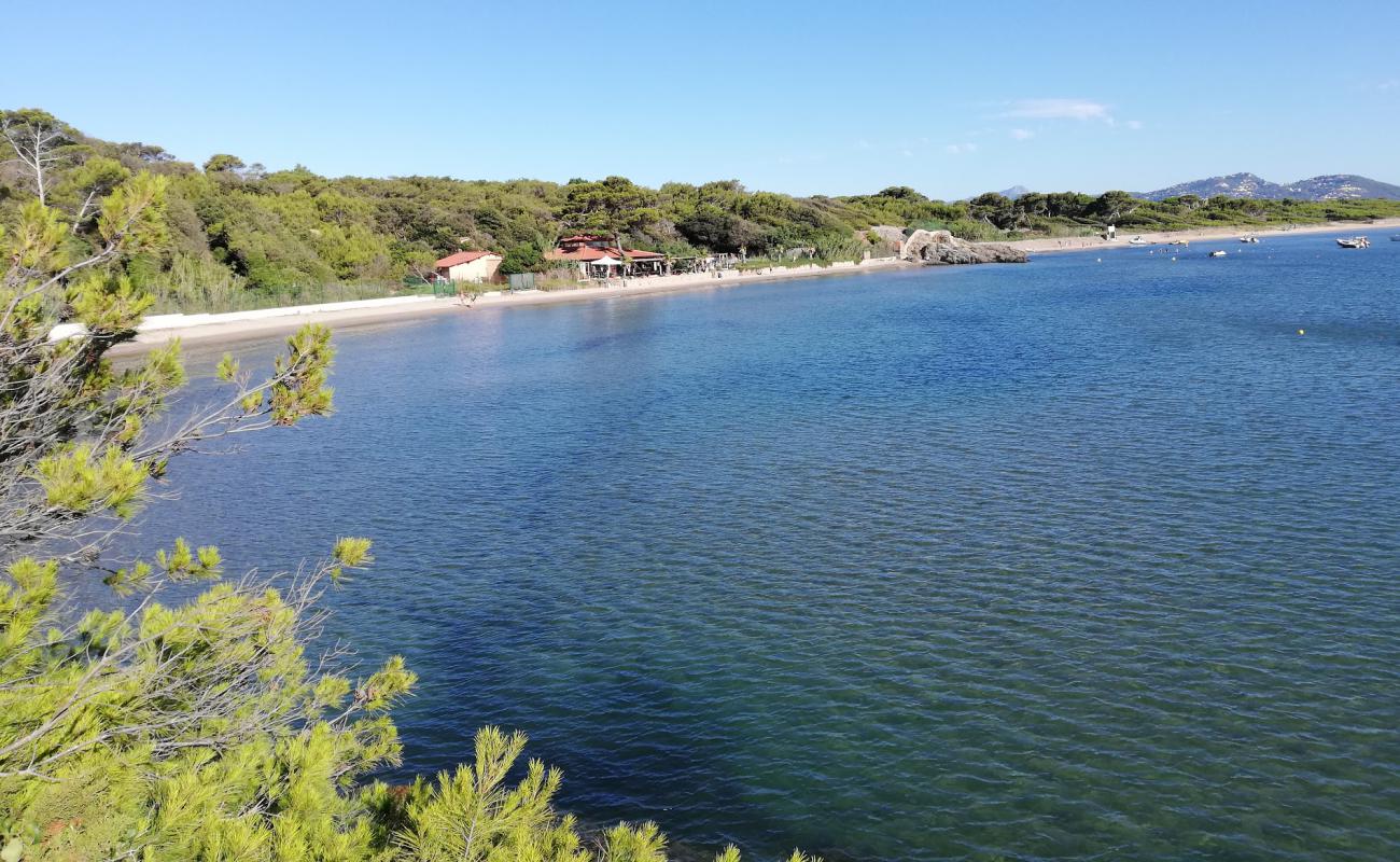 Badine Plajı'in fotoğrafı açık bej kum yüzey ile