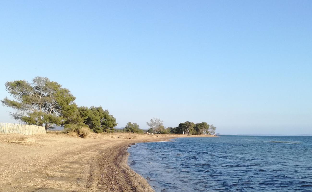 Plage des Vieux Salins'in fotoğrafı parlak kum yüzey ile