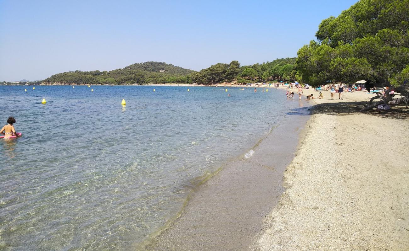 Pellegrin Plajı'in fotoğrafı parlak kum yüzey ile