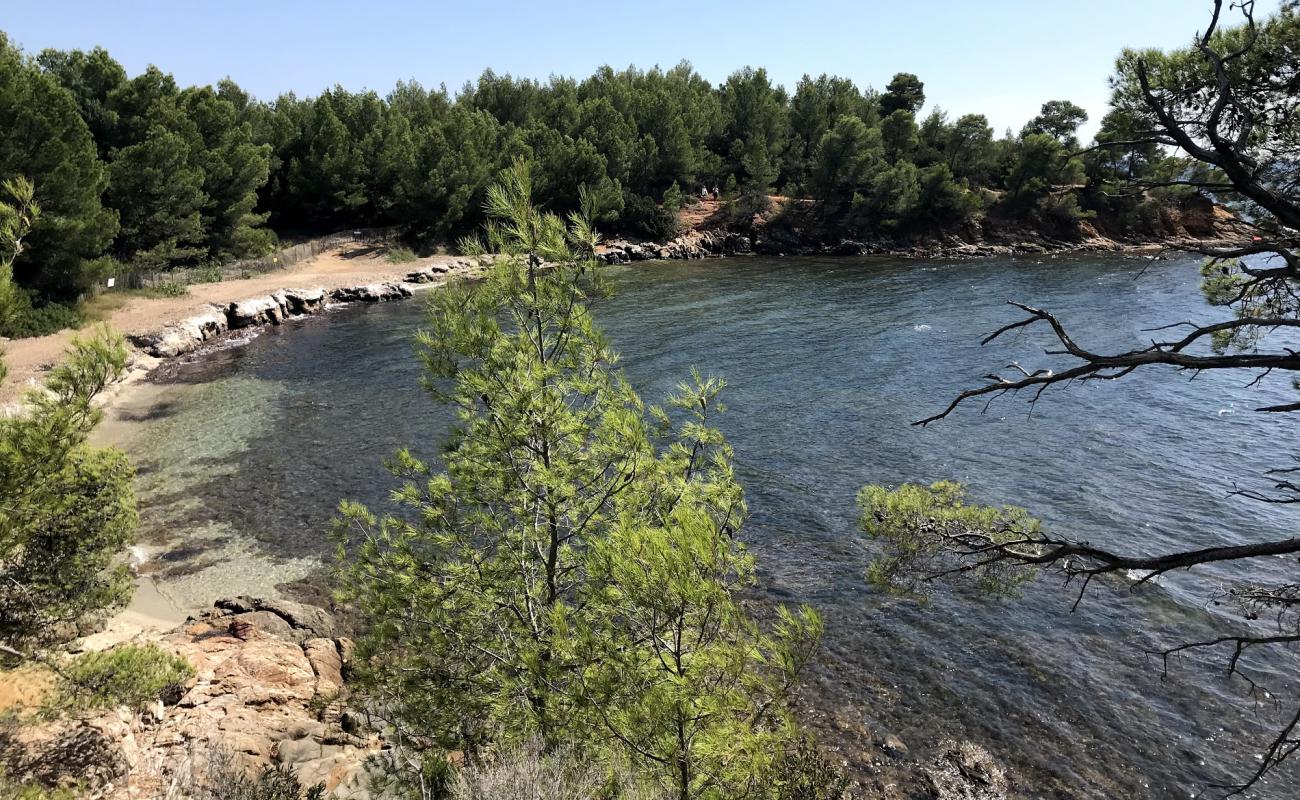 St. George's beach'in fotoğrafı taşlar yüzey ile