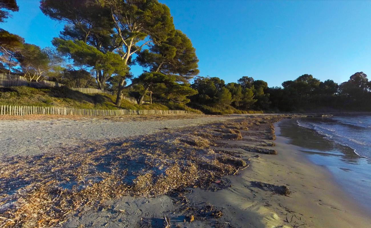 Leoube beach'in fotoğrafı vahşi alan