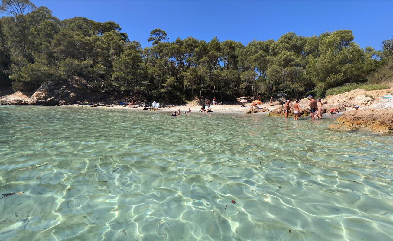 Cap Leoube beach'in fotoğrafı küçük çoklu koylar ile birlikte