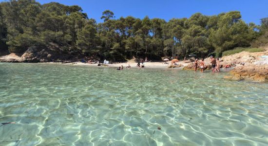 Cap Leoube beach