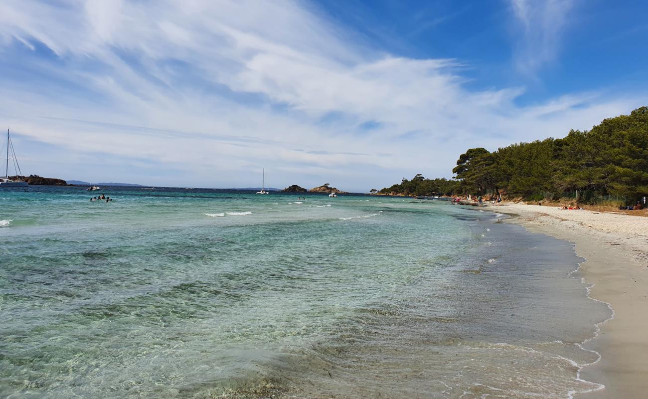 Large garden beach'in fotoğrafı beyaz kum yüzey ile